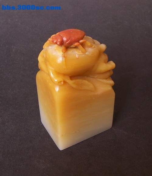 照片 5391.jpg