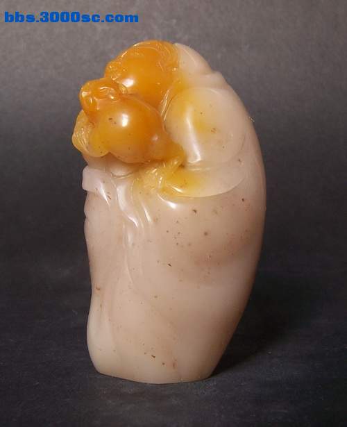 照片 13361.jpg