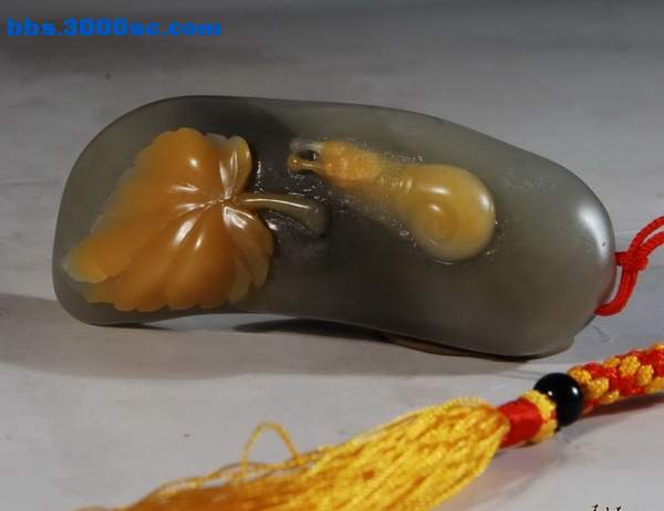 （鹅盘石）---一叶之秋-2009-4-8日.jpg