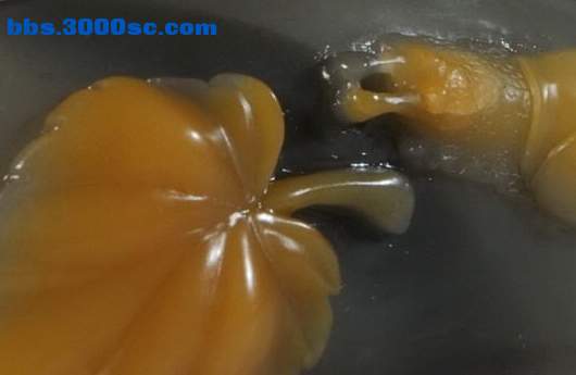 （鹅盘石）---一叶之秋-938元.jpg
