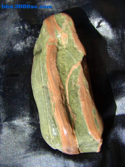 DSC03016.JPG