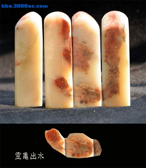 灵龟出水_小图.jpg