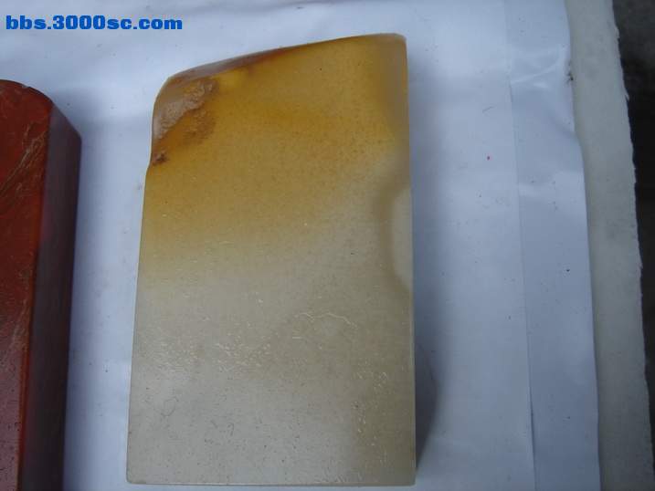 DSC04645_调整大小.JPG