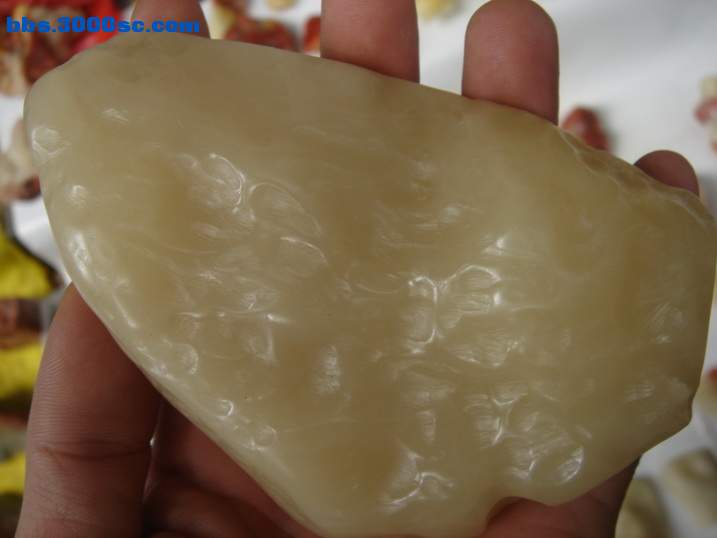 DSC04651_调整大小.JPG