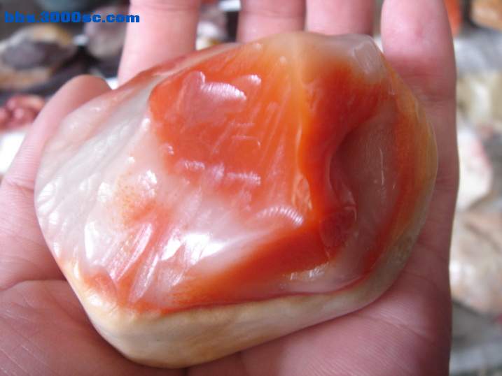 DSC04653_调整大小.JPG