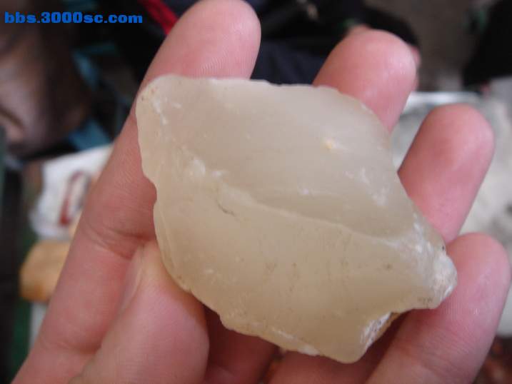 DSC04656_调整大小.JPG
