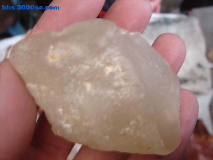 DSC04657_调整大小.JPG
