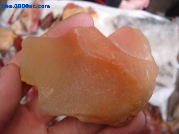 DSC04658_调整大小.JPG