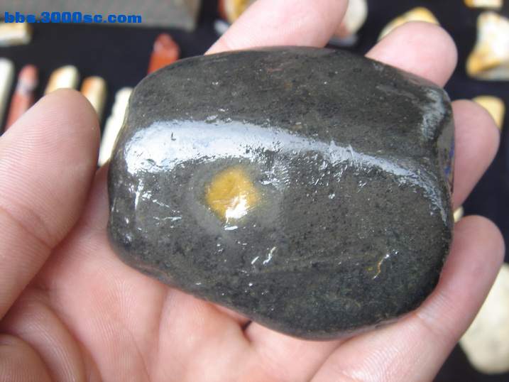 DSC04676_调整大小.JPG