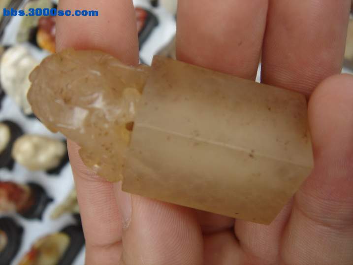 DSC04768_调整大小.JPG