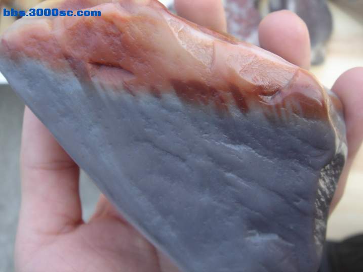 DSC04771_调整大小.JPG