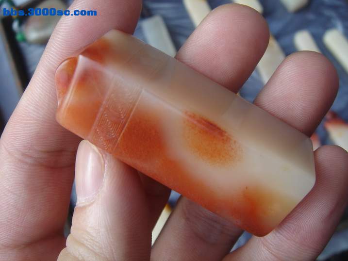 DSC04778_调整大小.JPG