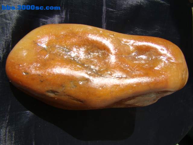 DSC03000.JPG