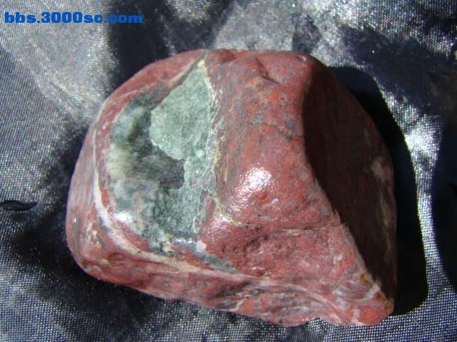 DSC03009.JPG