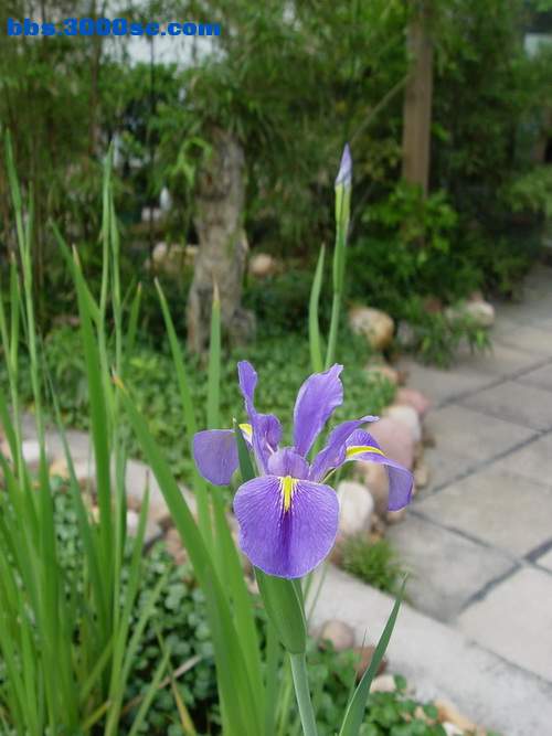 DSC07480.JPG