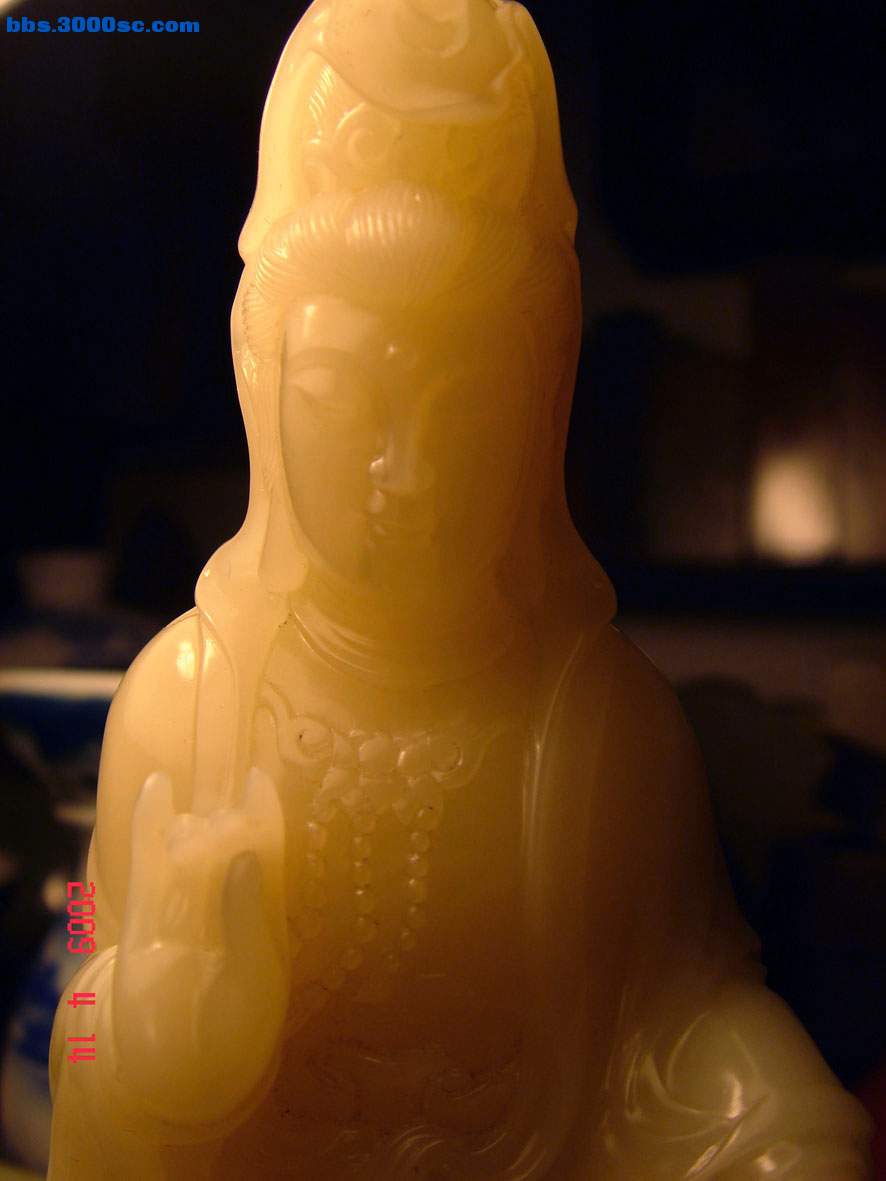 DSC04498.jpg