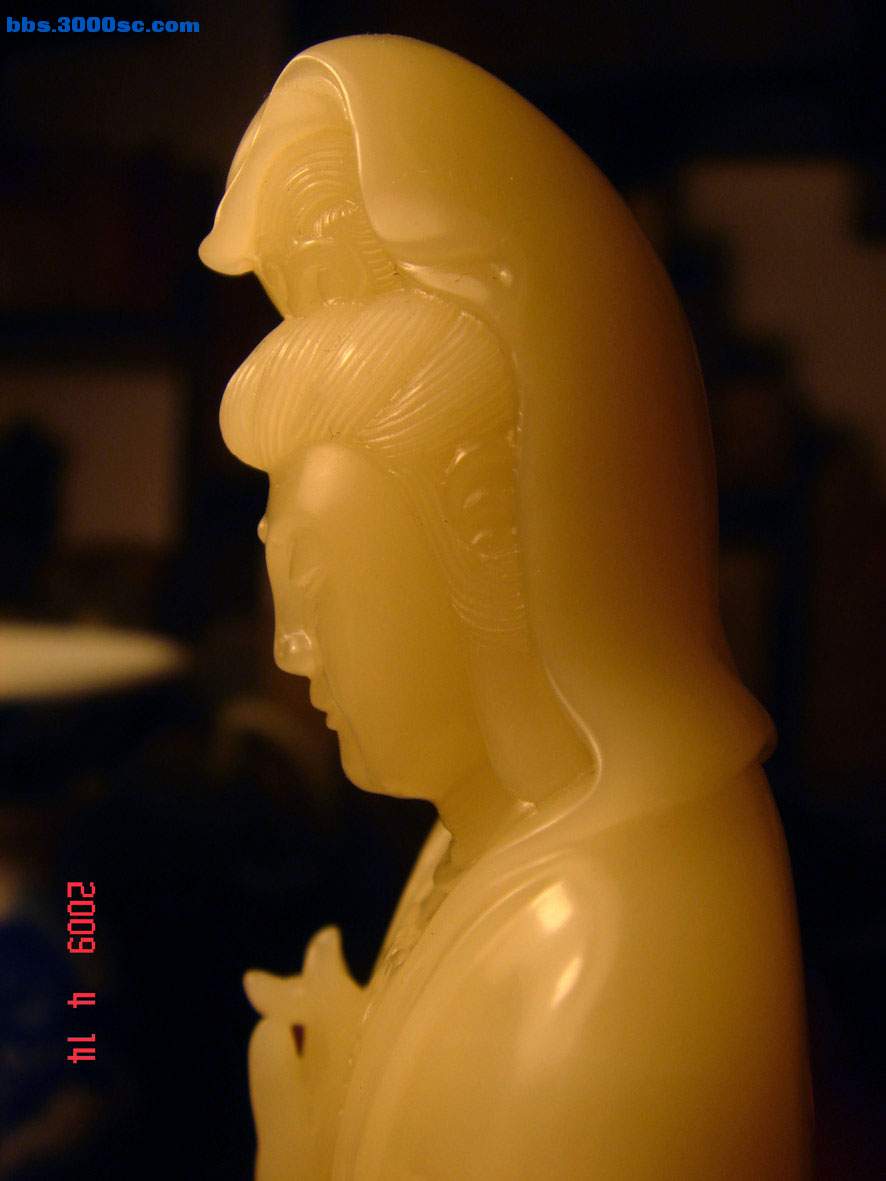 DSC04501.jpg