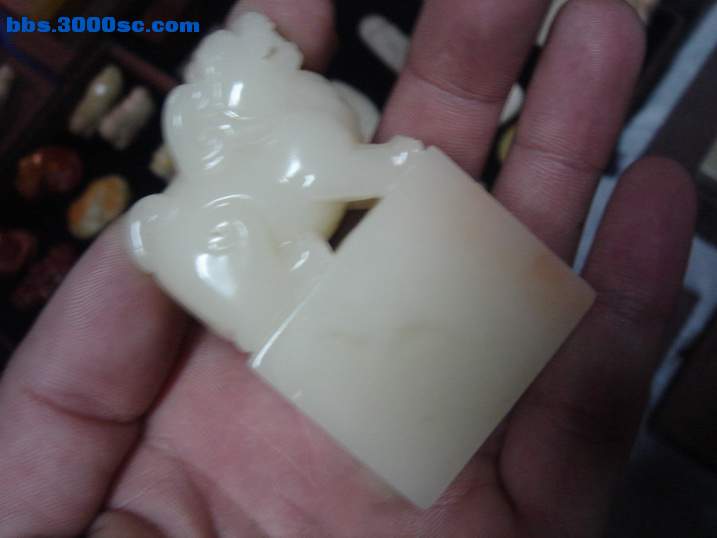 DSC04680_调整大小.JPG