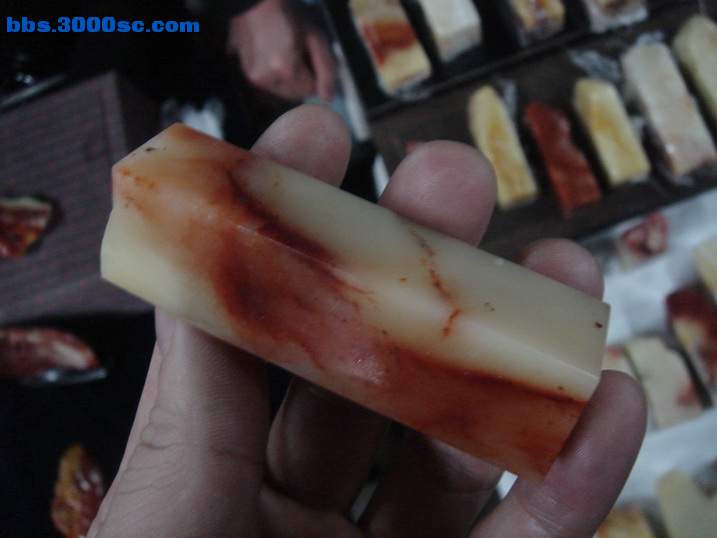 DSC04683_调整大小.JPG
