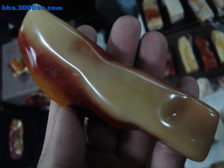 DSC04686_调整大小.JPG