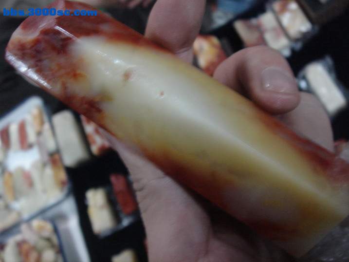 DSC04693_调整大小.JPG