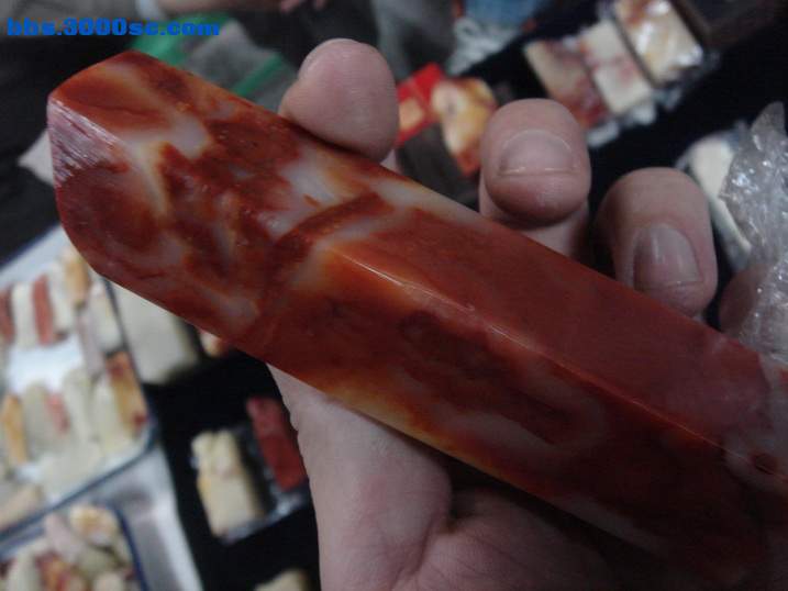 DSC04694_调整大小.JPG