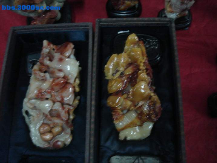 DSC04695_调整大小.JPG