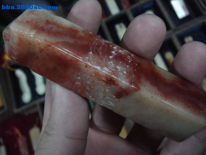 DSC04696_调整大小.JPG