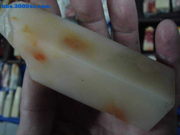 DSC04698_调整大小.JPG