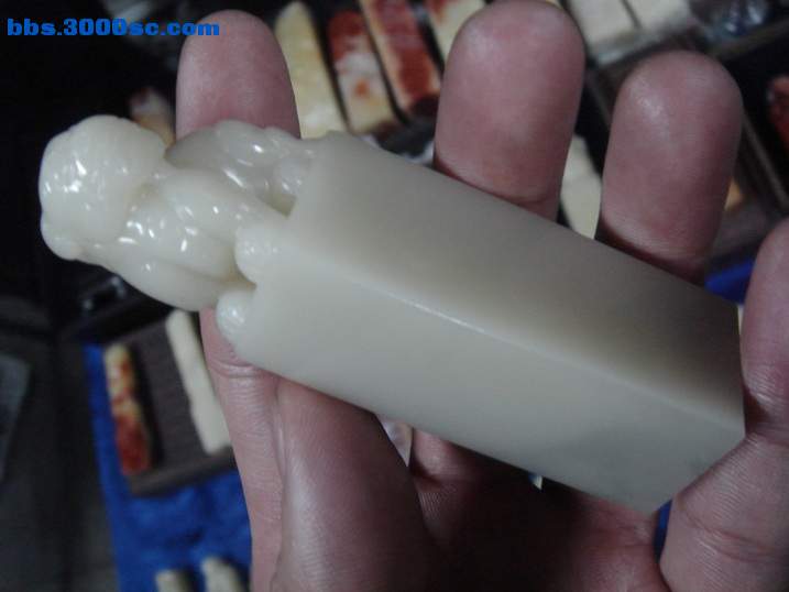 DSC04703_调整大小.JPG