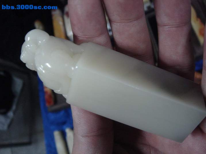 DSC04704_调整大小.JPG
