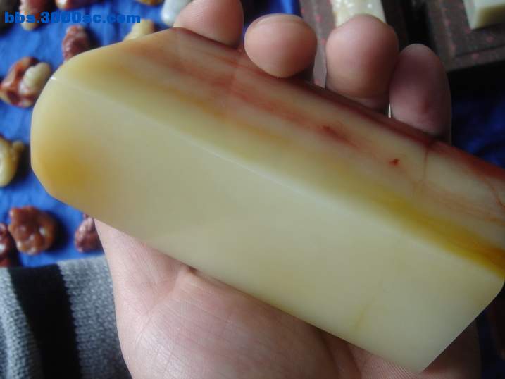 DSC04804_调整大小.JPG