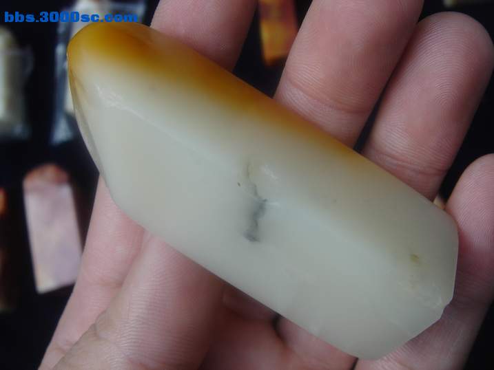 DSC04809_调整大小.JPG