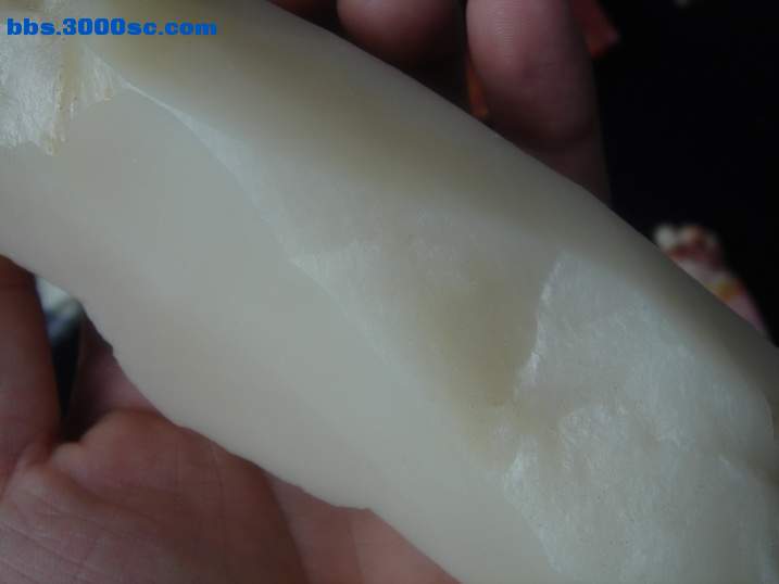 DSC04811_调整大小.JPG