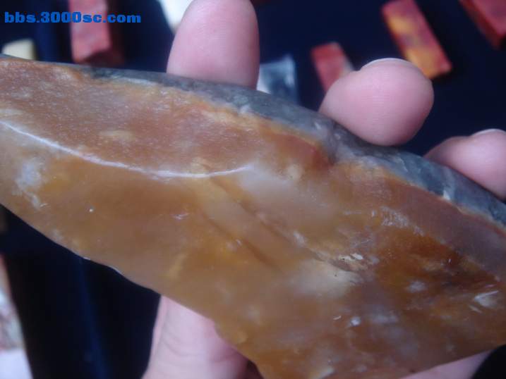 DSC04812_调整大小.JPG