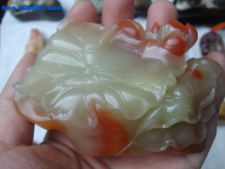 DSC04817_调整大小.JPG