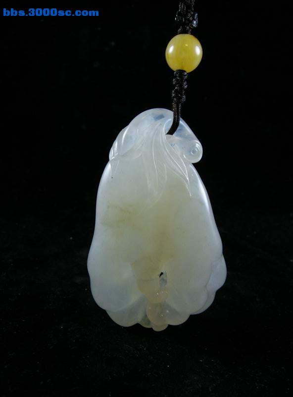 DSCN6829.JPG