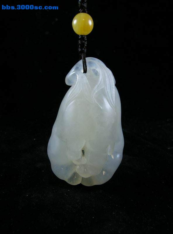 DSCN6828.JPG
