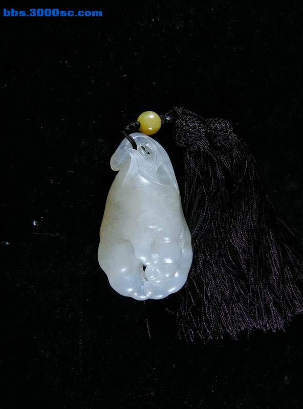 DSCN6838.JPG