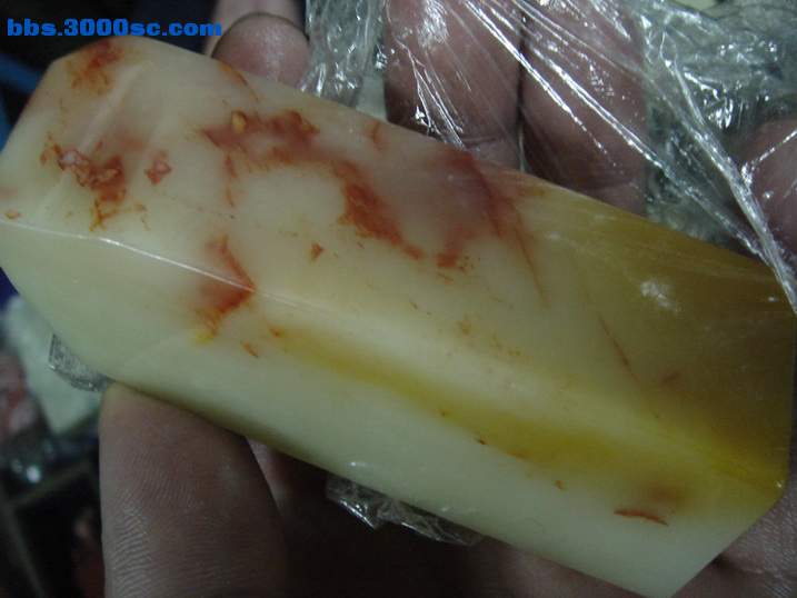DSC04705_调整大小.JPG