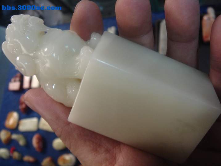 DSC04715_调整大小.JPG