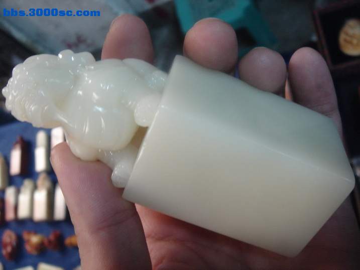 DSC04716_调整大小.JPG