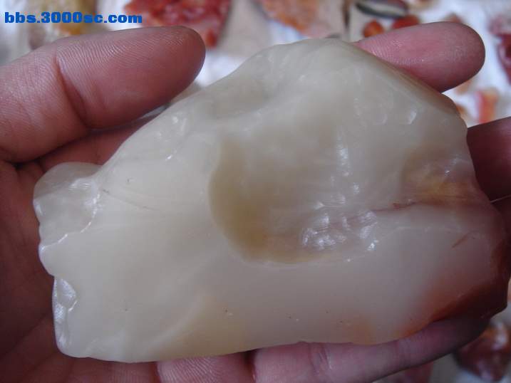 DSC04719_调整大小.JPG