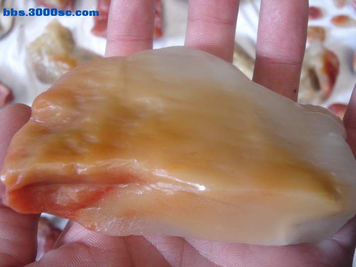 DSC04720_调整大小.JPG