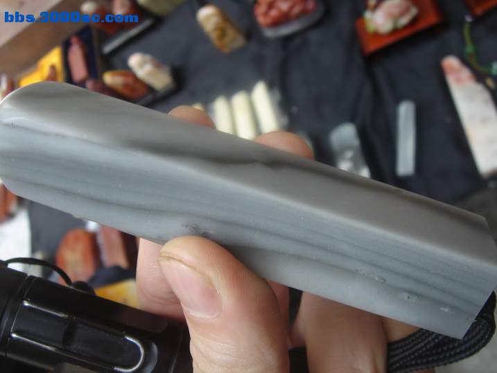 DSC04722_调整大小.JPG