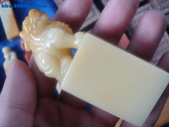 DSC04820_调整大小.JPG
