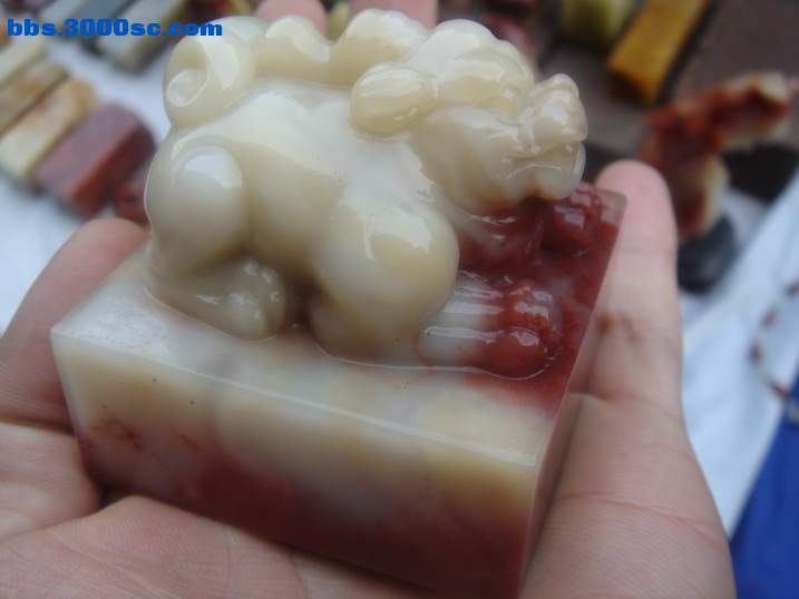 DSC04826_调整大小.JPG