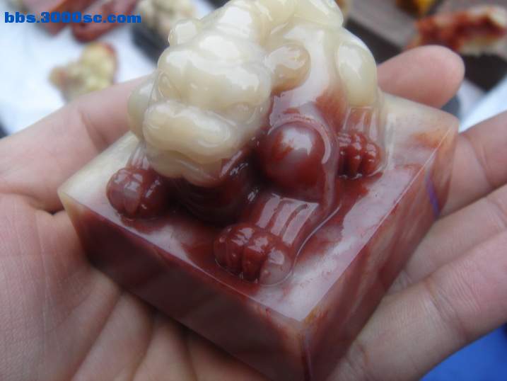 DSC04825_调整大小.JPG