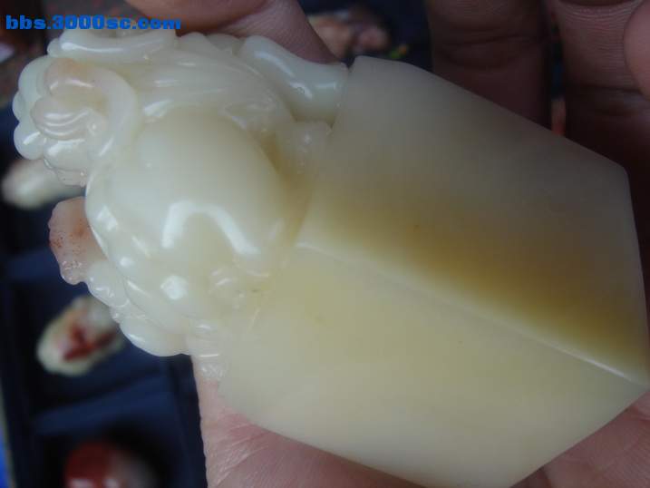 DSC04830_调整大小.JPG