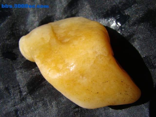 DSC03005.JPG